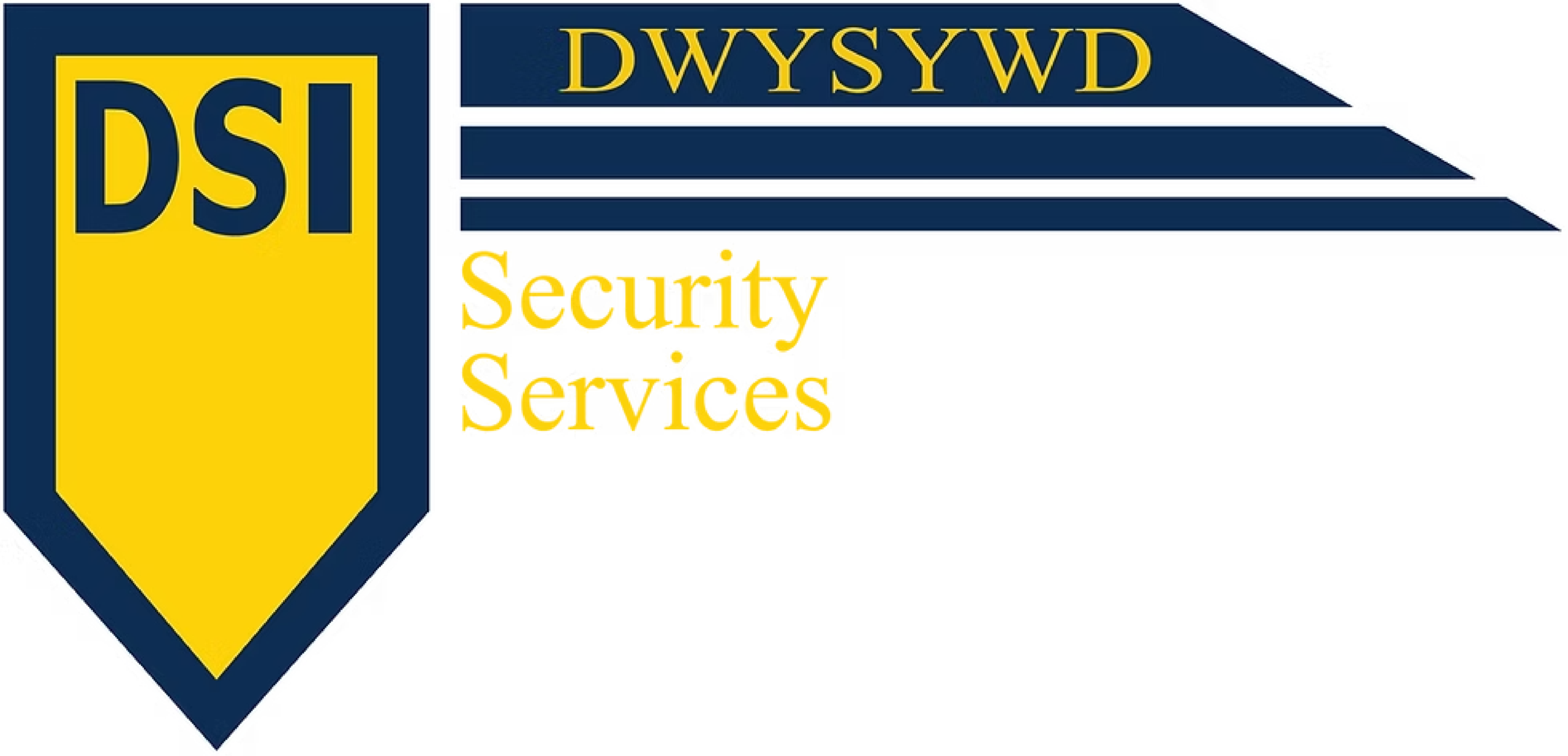 DSI formerly Apex3-systems-logo