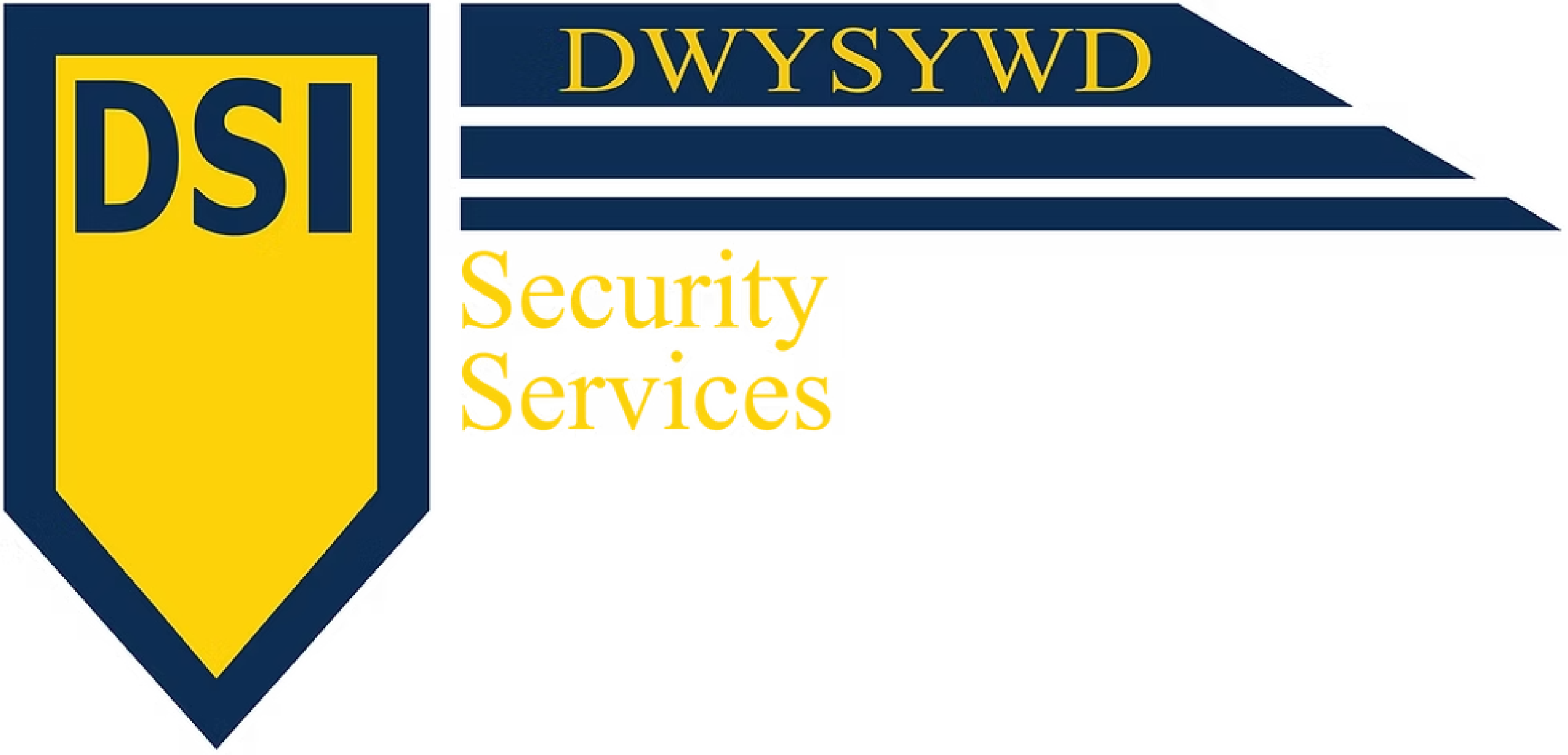 DSI formerly Apex3-systems-logo